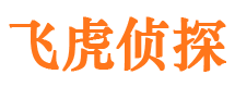 辰溪侦探公司